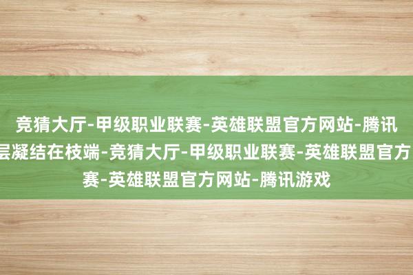 竞猜大厅-甲级职业联赛-英雄联盟官方网站-腾讯游戏厚厚的一层凝结在枝端-竞猜大厅-甲级职业联赛-英雄联盟官方网站-腾讯游戏