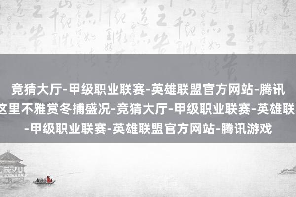 竞猜大厅-甲级职业联赛-英雄联盟官方网站-腾讯游戏浩荡搭客汇集在这里不雅赏冬捕盛况-竞猜大厅-甲级职业联赛-英雄联盟官方网站-腾讯游戏